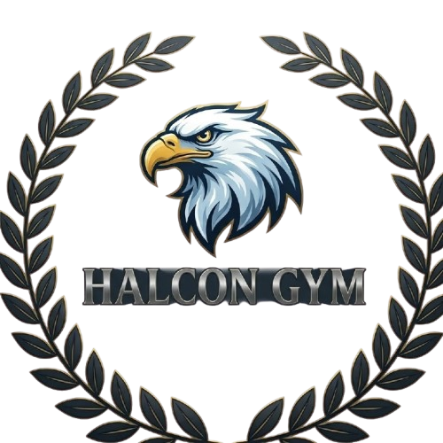 Logo oficial de HALCÓN GYM